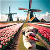 Thumb of Netherlands dog photo.